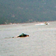 Image for article titled Baby Ogopogo Found in Canadian Lake?